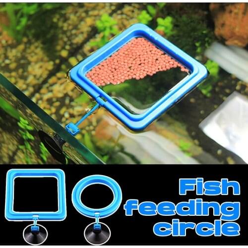 1pcs Feeding Ring Aquarium Fish Tank Ring Feeder Station Fish Feeding Aquarium Floating Food Water Plant Buoyancy Circle