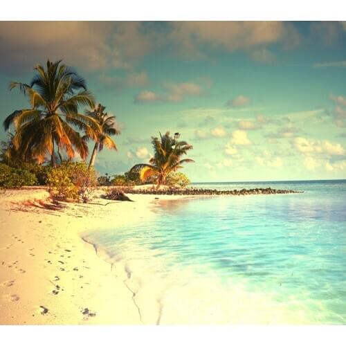 VinylBDS Photo Backdrop Scenic Beach Photography Backdrops Blue Sky White Cloud Scenic Photography Background Beach Sunset