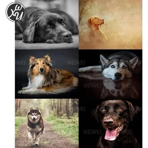 Diamond Painting for Adults Dog Diamond Cross Stitch Kits Animals Diamond Painting Fantasy Full Drills Embroidery for Home Decor