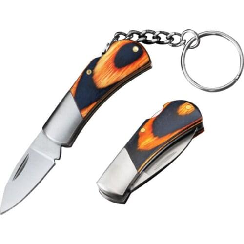 Mini Pocket Multi Blade Fold Key Ring Stainless Steel Unboxing Portable Outdoor Camp Knife Keychain Peeler Survive Kit Gadget