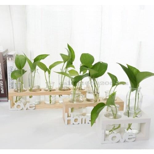 Solid Wood Frame Glass Vase Hydroponics Green Dill Flower Arrangement Container Two/three/five Holes Table Top Vase Decorative