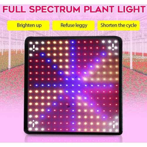 Grow Light Red and Blue Spectrum LED Plant Light Potted Greenhouses Indoor Phyto Lamp Grow Tent 3000K/5000K US EU UK AU Plug