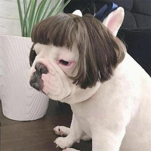 Fashion Funny Pet Wigs Cat Dog Cospaly Props Wigs Tiara Hairpiece Makeover Clothing Pet Supplies Парик для домашних животных