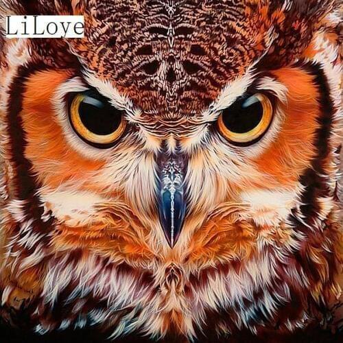 LI LOYE DIY Diamond embroidery animals owl picture of rhinestones Diamond painting full square Mosaic pictures home Decor FZ89
