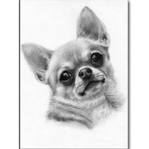 Diamond embroidery black white Chihuahua dog,diamond painting full square cross-stitch kits full diamond mosaic sale wall decor