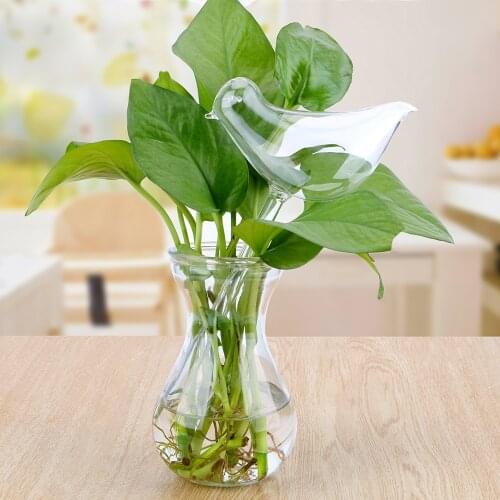 Bird Shape Garden Plants Flowers Water Feeder Automatic Self Watering Devices Clear Glass Watering Device Watering Cans