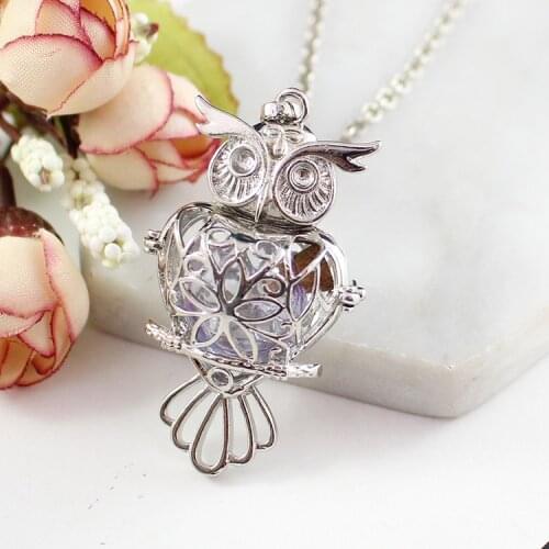 1PC Apple and Owl Hollow Cage Locket Pendant with glass ball Memory Locket Pendant Cremation Jewelry Fillable Jewelry