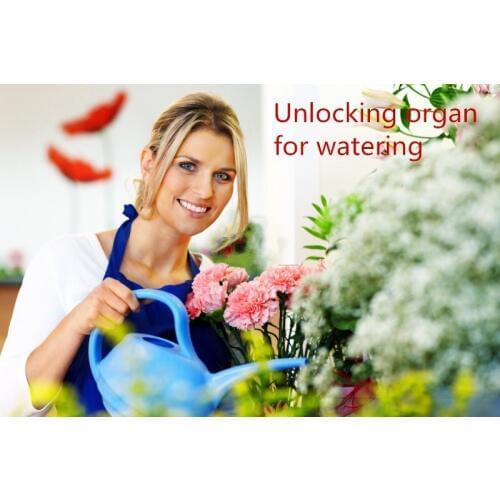 Human secrets room escape room props office Unlock the flowers Water flow mechanism Human electric bridge