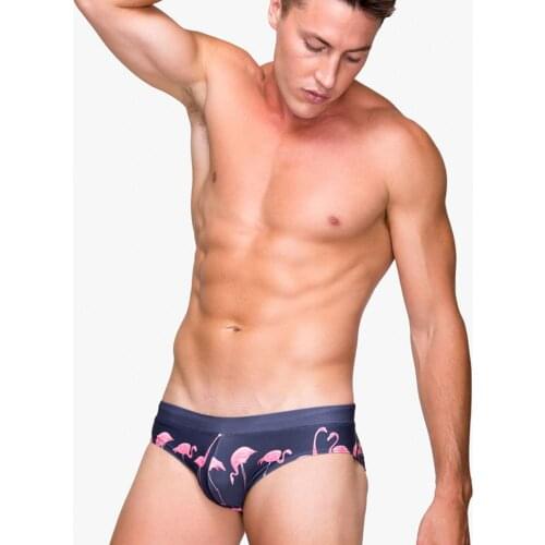 Sexy Mens Swim Briefs Drawstring Bikini Sport Swimsuit Beach Underwear Athletic Swimwear Water Sports Bottoms Flamingo Print