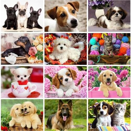 HUACAN Diamond Painting Dog Home Decoration Mosaic Animal Full Drill Square Diamond Art Embroidery Handmade Gift