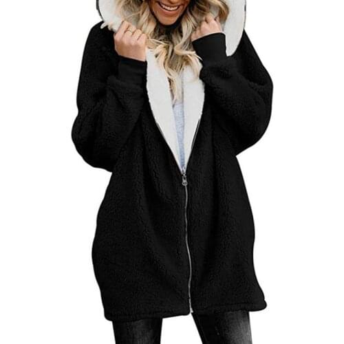 Winter Lamb Zipper Hooded Sweatshirts 2019 Women Fashion Loose Warm Plush Coat Female Zipper Fleece Hoodies Plus Size