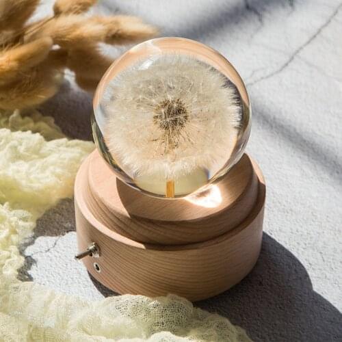 Natural Dandelion Flower Crystal Glass Resin Lens Ball Real Plants Specimen Christmas Gift Home Decor Globe With Luminous Stand