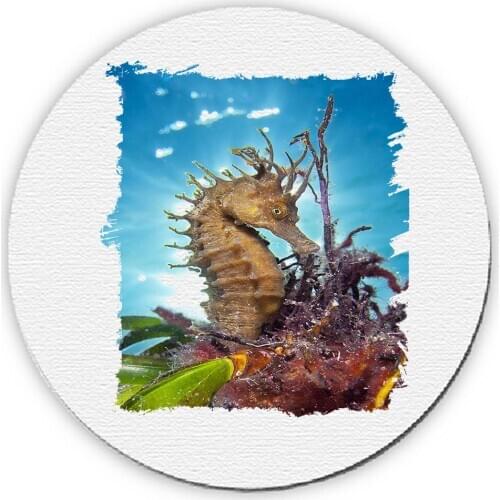 MERCHANDMANIA round mat seahorse fish and corals for raton computer pc laptop accessory offer