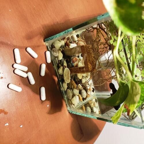 Capsule fertilizer for aquatic plants. best fertilizer all macro and micro elements in this capsule harmless for fish 40 pcs