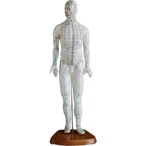 Acupuncture Model (Male) 50CM BIX-Y1007 G066