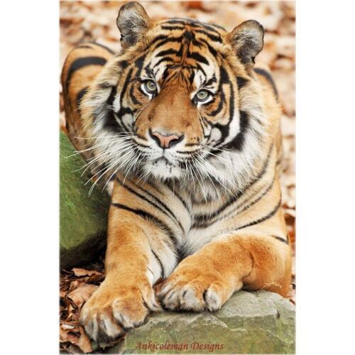 Needlework for embroidery DIY Craft DMC High Quality - Counted Cross Stitch Kits 14 ct Oil Painting - Baby Tiger