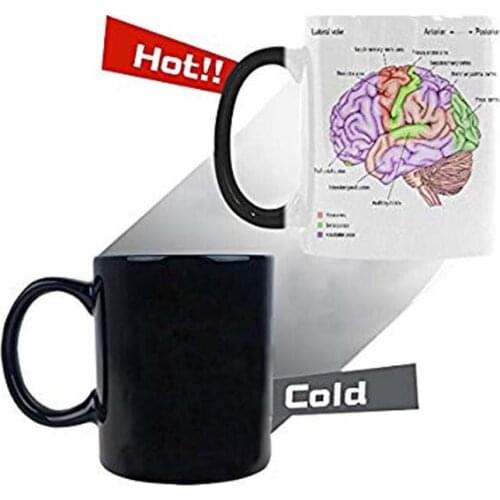 Love Anatomy of the Human Brain Morphing Mug Heat Sensitive Color Changing Coffee Mug Cup - Unique Funny Birthday Christmas Gift