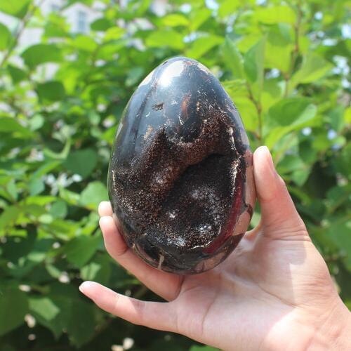 1010g Natural curvature of the furnishing articles Turtle grain stone egg Ball Septarian nodule Fossil Crystal Healing quartz