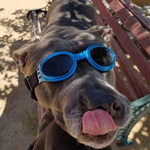 Cool Dog Round Glasses Pet Eyewear Sunglasses Dog Protection Goggles Pet Supplies For Medium /Large Dogs PC Material