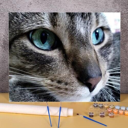 Cat Animal Paint By Numbers Set Oil Paints 50*70 Paiting By Numbers Loft Wall Picture For Adults Wholesale For Handiwork
