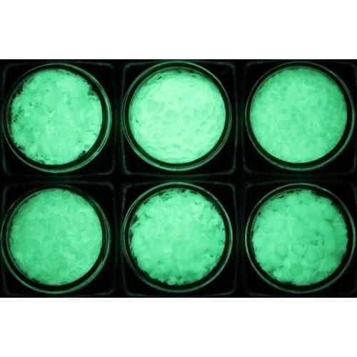 Luminous Sequins Glow In the Dark Glitters Resin Jewelry Findings Nail Art Craft E56C