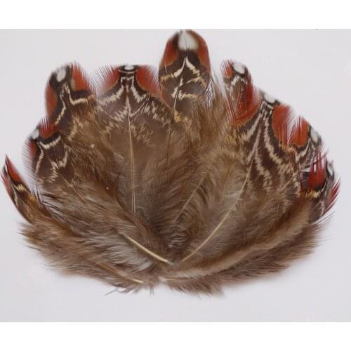 500Pcs 4-9cm Natural Pheasant Chicken Feathers For DIY Crafts Clothing Jewelry Headwear Christmas Holiday Hat Decoration Plumes