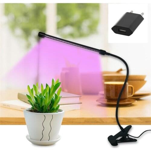 Звезда Plant Lamps
