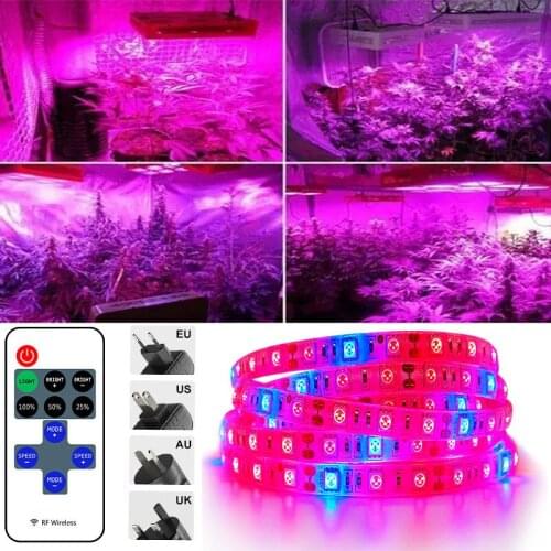 5050 Grow Lamp Phyto LED Plant LED Strip Lights Full Spectrum Hydroponic Tape for Seeds Plants Greenhouses Growth Light Dimmer