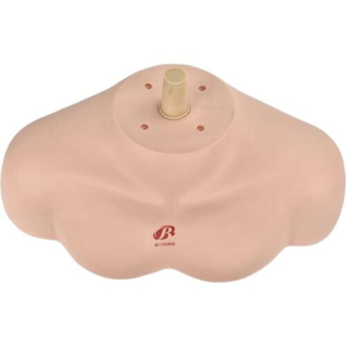 PVC Mannequin Practice Head Shoulder Display Bust Manikin Support 35x16x18cm