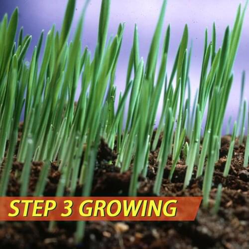 Искусственные газоны Houkiper China At AliExpress