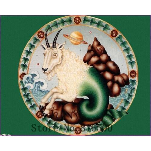 2017 New DIY Diamond Cross Stitch Embroidery Capricornus 100% Full round Resin Knitting Needles Diamond Painting Kits 30x40cm