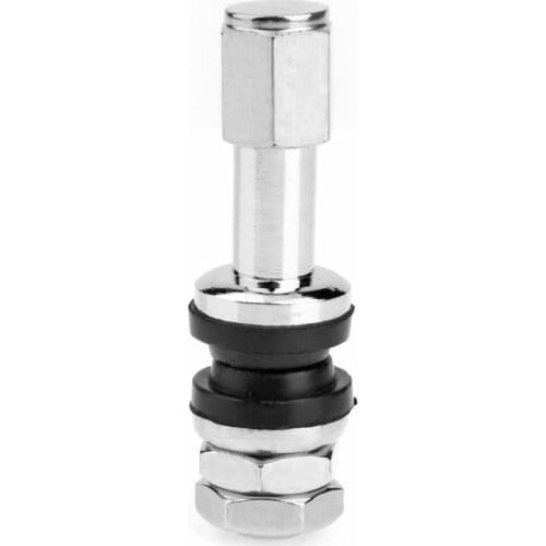 10pcs Bolt-in Tubeless Tire Valve Stems With Dust Cap Stainless Steel Car Tubeless Wheel Tire Valve Stems Cap Hex Car Accessory