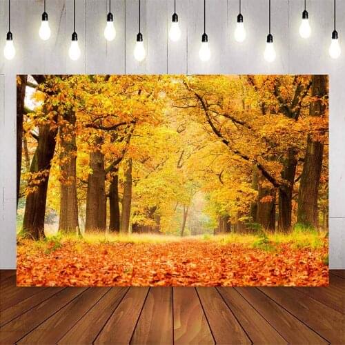 Fall forest backdrop for photography Autumn fallen leaves trail photo background studio portrait photographic backgrounds