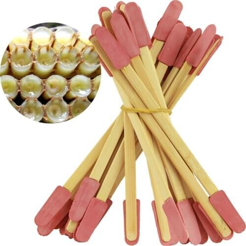 10PCS Beekeeping Professional Bee Grafting Bamboo Rubber Picking Pen Bee Milk Precise Jelly Pulp Taking Apiculture Bees Tools