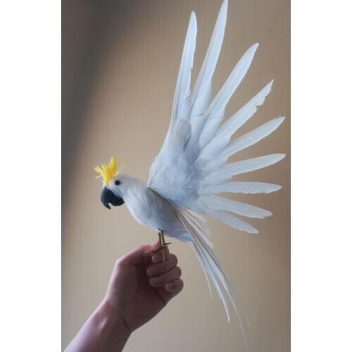 Foam&feathers white cockatoo parrot about 32x45cm spreading wings bird hard model prop.home garden decoration Xmas gift w0874