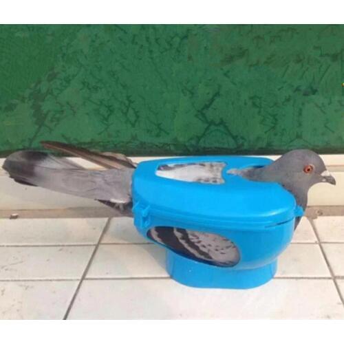 Racing pigeon dove baby holder for injection feeding fixed mount bird supplies