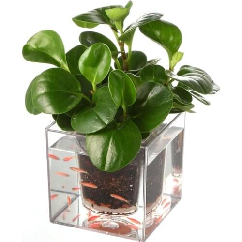 Double Fish Farming Flower Pot Creative Transparent Flower Pot Automatic Water Absorption Cube Flowerpot Desktop Resin Basin Hot