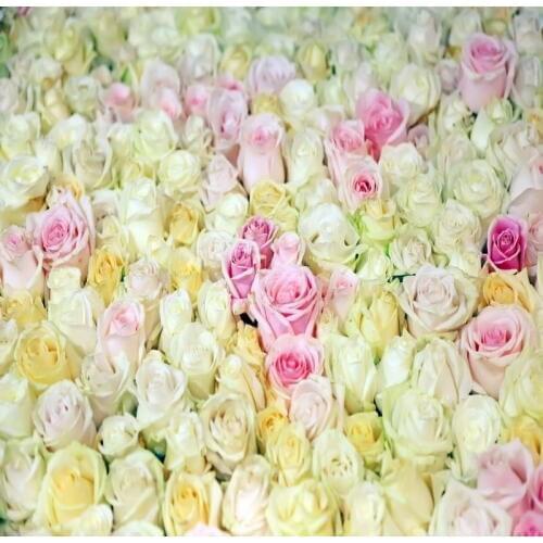 TR 8X8FT flower roses wedding photography backdrop studio valentines photography background studio baby newborn photo backdrops