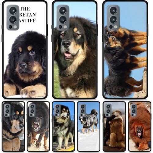 LSVBA OnePlus 5T Phone Cases China