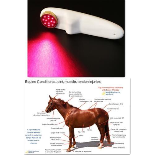 Veterinary Laser Pain Relief Therapy LLLT 650nm 808nm infrared Red Light therapy Body wound healing massage
