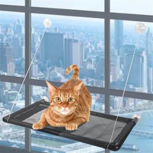 New pet cat hammock climbing frame bed screw suction cup type strong suction fat cat big cat removable and cat litter sun bed