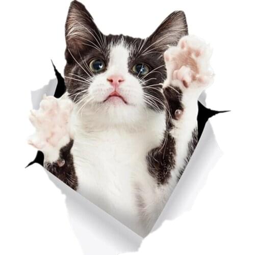 S41022# Funny Self-Adhesive Decal Black & White Reaching Cat Car Sticker Waterproof Auto Decors on Bumper Rear Window