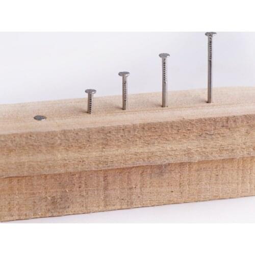 304 Stainless Steel Nail Cement Nail Steel Nail Carpenter Round Nail Cement Wall Nail Lengthened Small Nail Concrete Nail 100Pcs