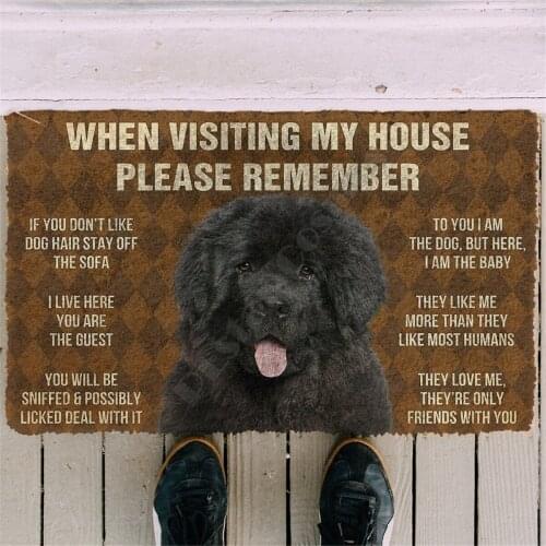 Newfoundland House Rules Custom Doormat 3D Printed Doormat Non Slip Door Floor Mats Decor Porch Doormat