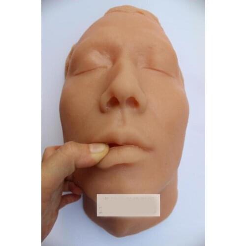Silicone head model head skeleton skull model skin suture facial model minimally invasive cosmetic study model