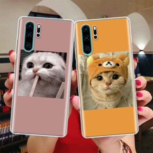 Super Lovely Cat Kitten Cute Funny Silicon Phone Case For Huawei Honor 10 9 20 Lite Y5 Y6 Y7 Y9 9X 8X 8S 8A 7X 7A 7S Pro + 10i20