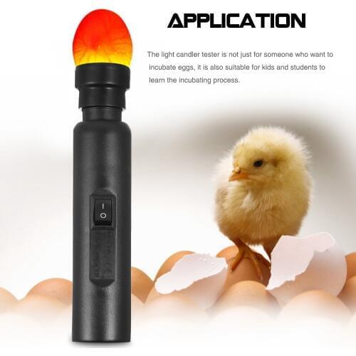 Egg Candler Tester High Intensity Bright Cool LED Light Egg Candling Lamp For Monitoring Egg Chicken Quail Incubator Brooder