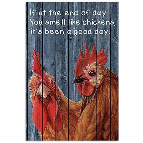 You Smell Like Chickens Metal Sign 8x12 inches