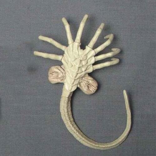 1/6 Alien Predator Beast Facehugger Larvae Action Figure Accessory for 12" Action Figure Soldier Dolls In Stock