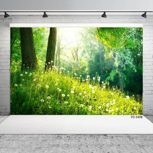 Dandelion Grass Trees Sunshine Photography Background Customized Backdrop for Children Baby Portrait Photoshoot Photo Studio